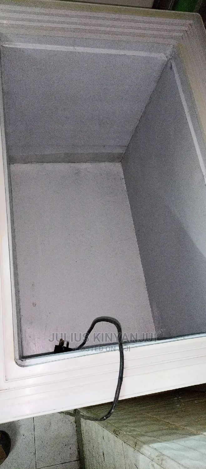 Deep Freezer 250L