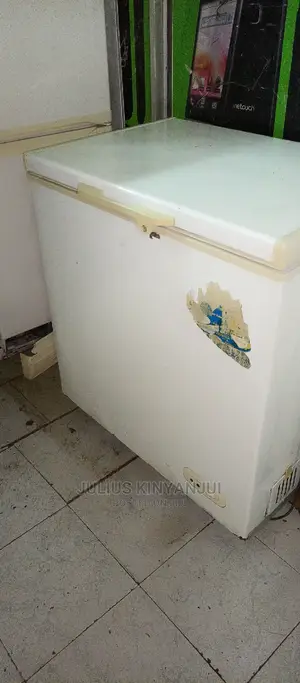 Deep Freezer 250L