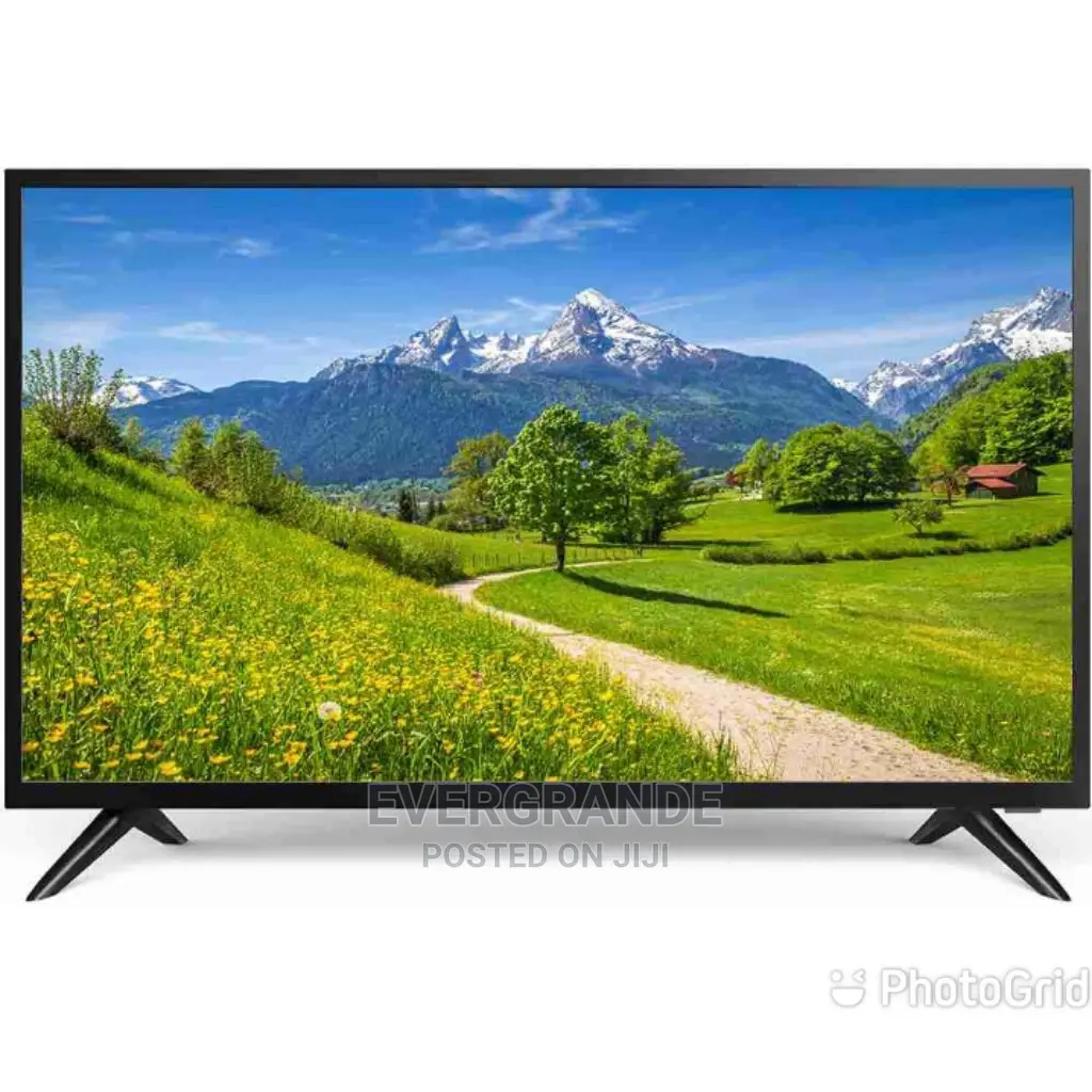 Skyview 24' Digital Tv