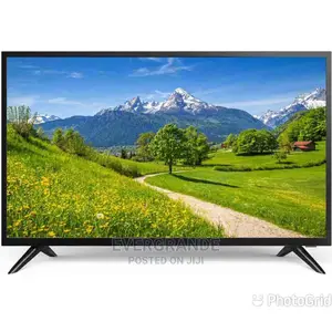 Skyview 24' Digital Tv