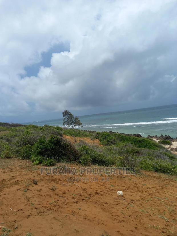 For Sale 6 Acre Beach Land Kilifi - thumbnail 7