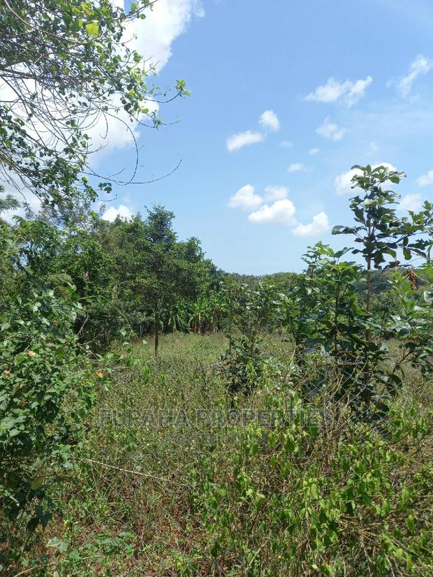 For Sale 11 Acres Agricultural Land Ramisi - main view