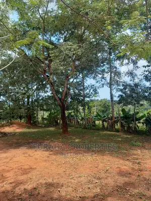 For Sale 11 Acres Agricultural Land Ramisi
