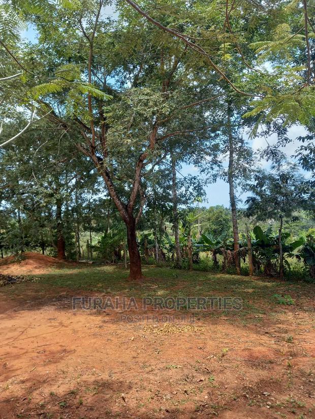 For Sale 11 Acres Agricultural Land Ramisi - thumbnail 2