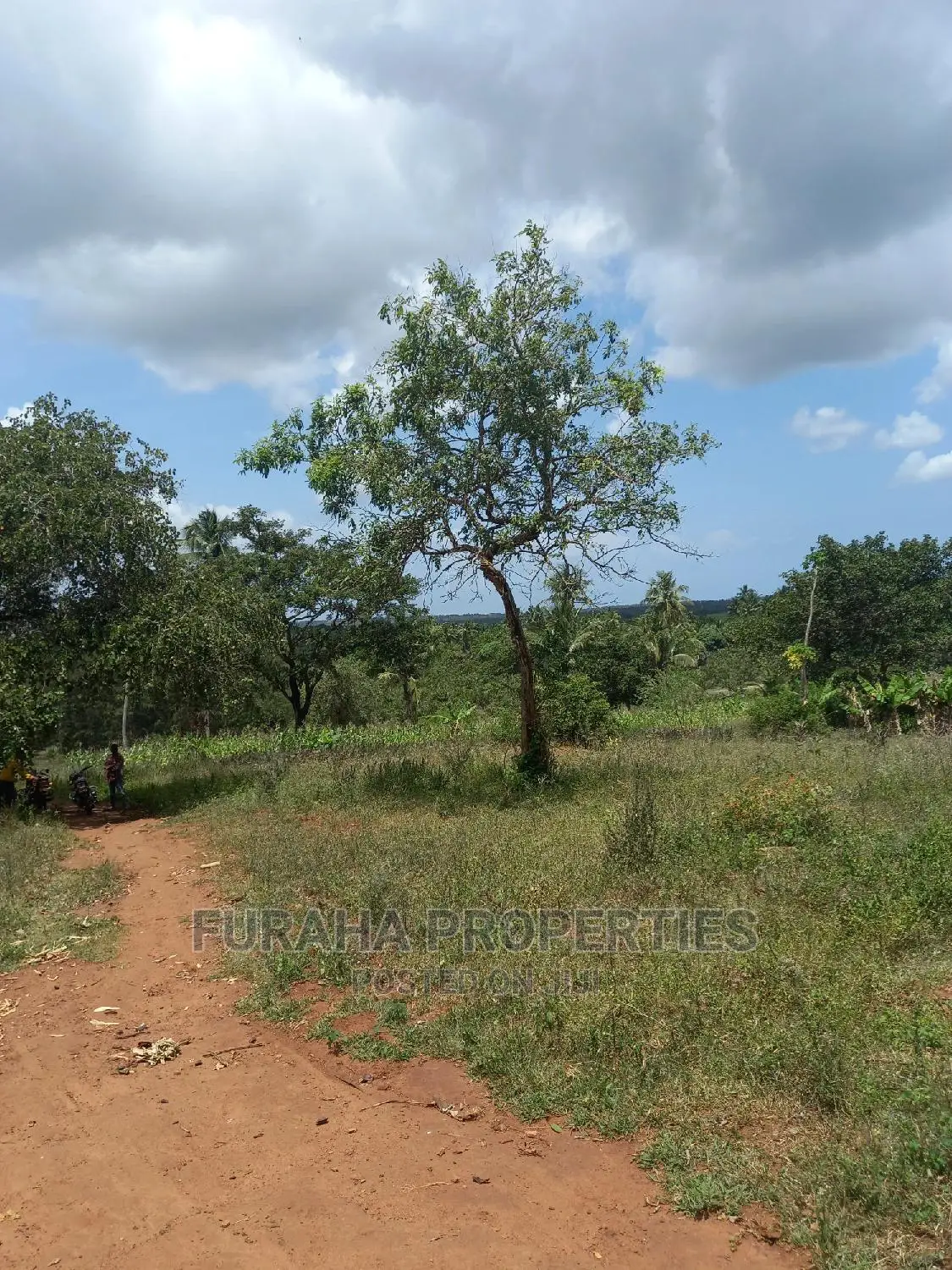 For Sale 11 Acres Agricultural Land Ramisi
