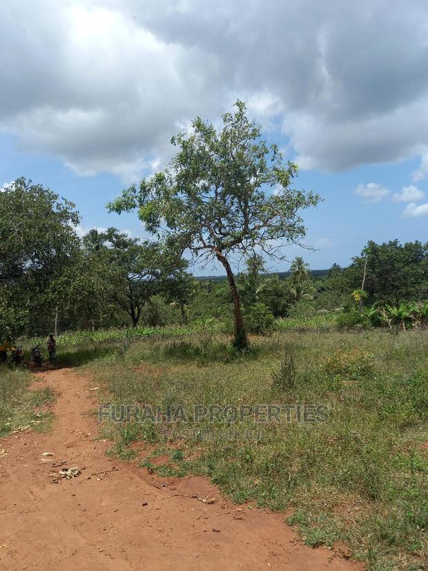 For Sale 11 Acres Agricultural Land Ramisi - thumbnail 6