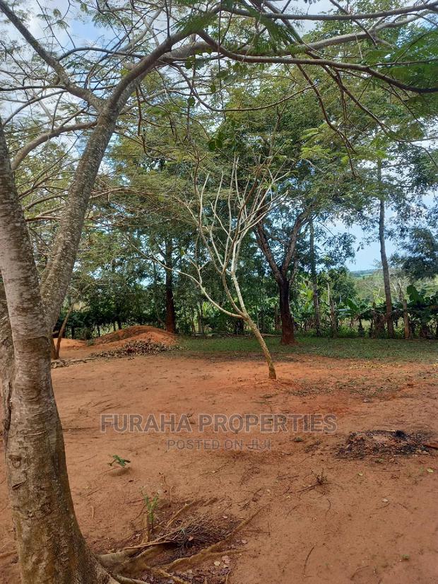 For Sale 11 Acres Agricultural Land Ramisi - thumbnail 7
