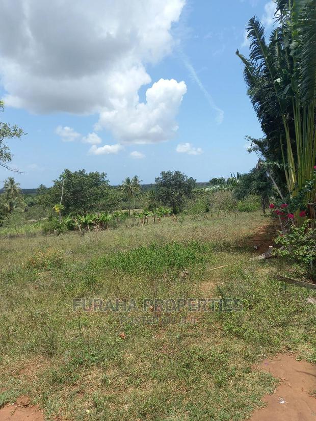 For Sale 11 Acres Agricultural Land Ramisi - thumbnail 9