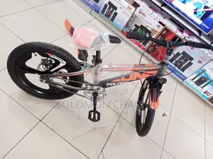 Adult Bike Size 20