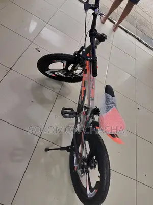 Adult Bike Size 20