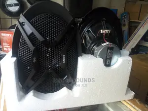 Sony 6x9 Speaker