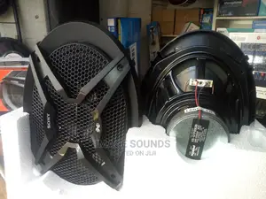 Sony 6x9 Speaker