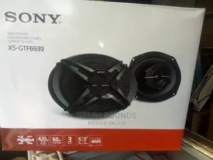 Sony 6x9 Speaker