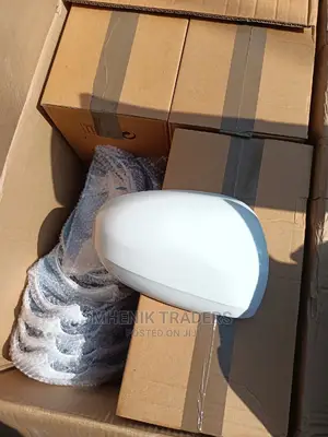 Passo/ Wish Side Mirror Cover