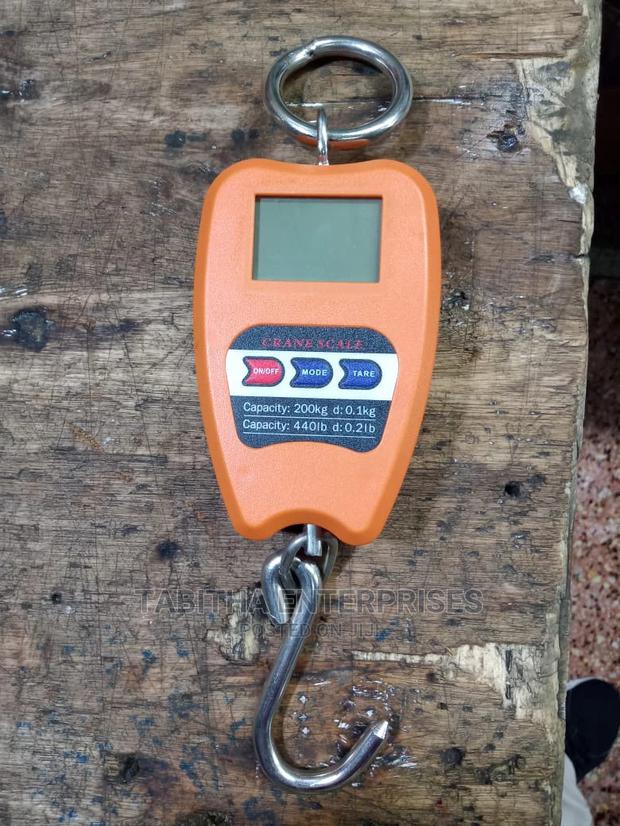 Mini Crane 200kg - main view