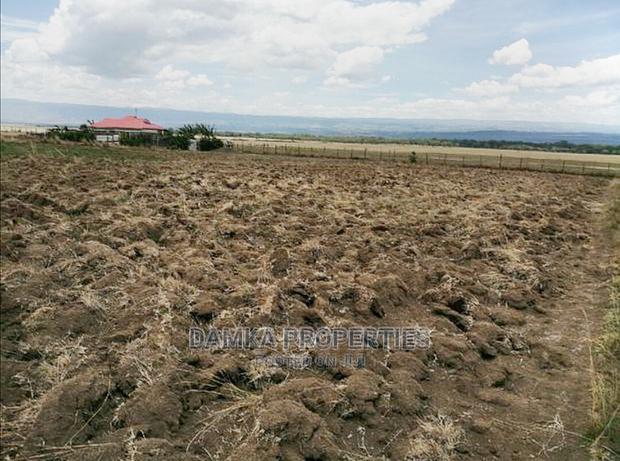 50*100 Plot for Sale in Mwariki C, Nakuru - thumbnail 2