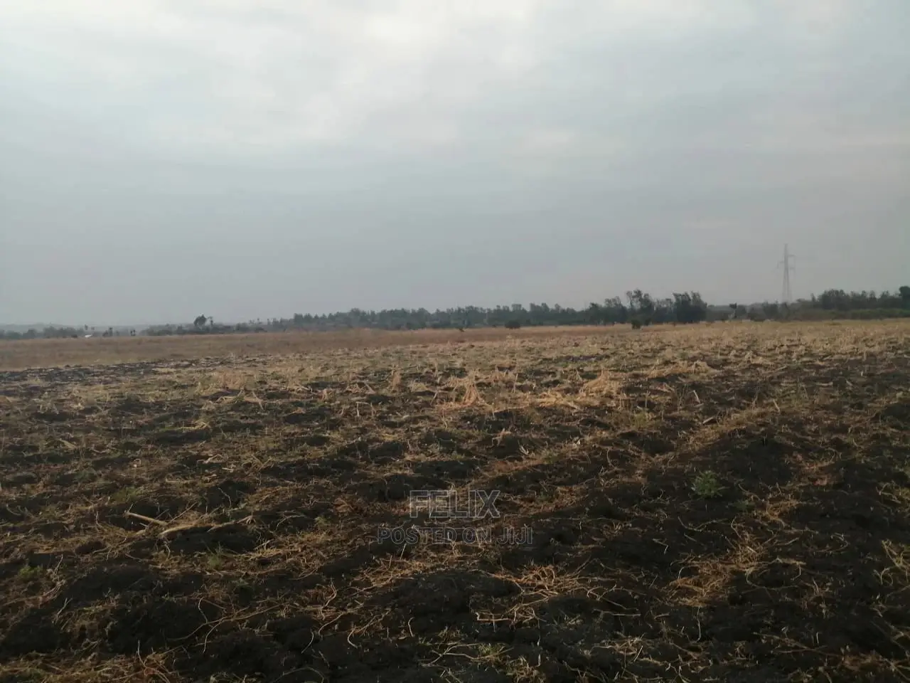 6acres Sagana