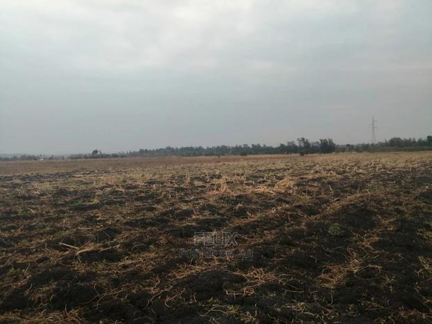 6acres Sagana - main view