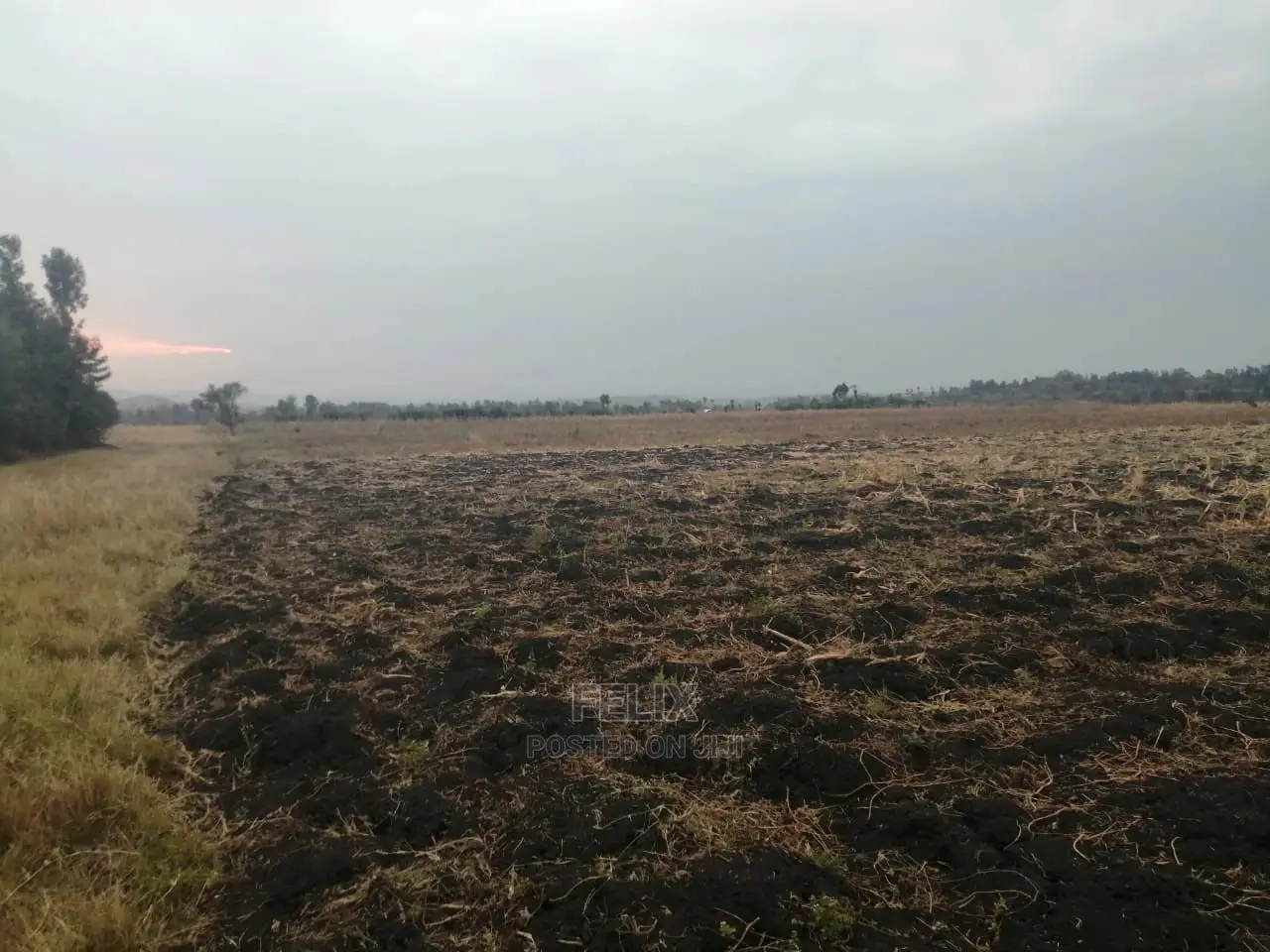 6acres Sagana