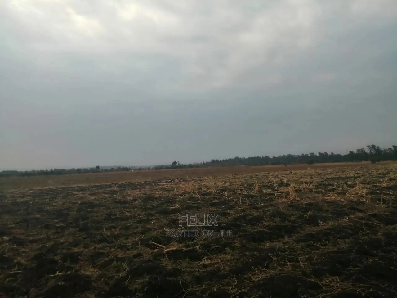 6acres Sagana