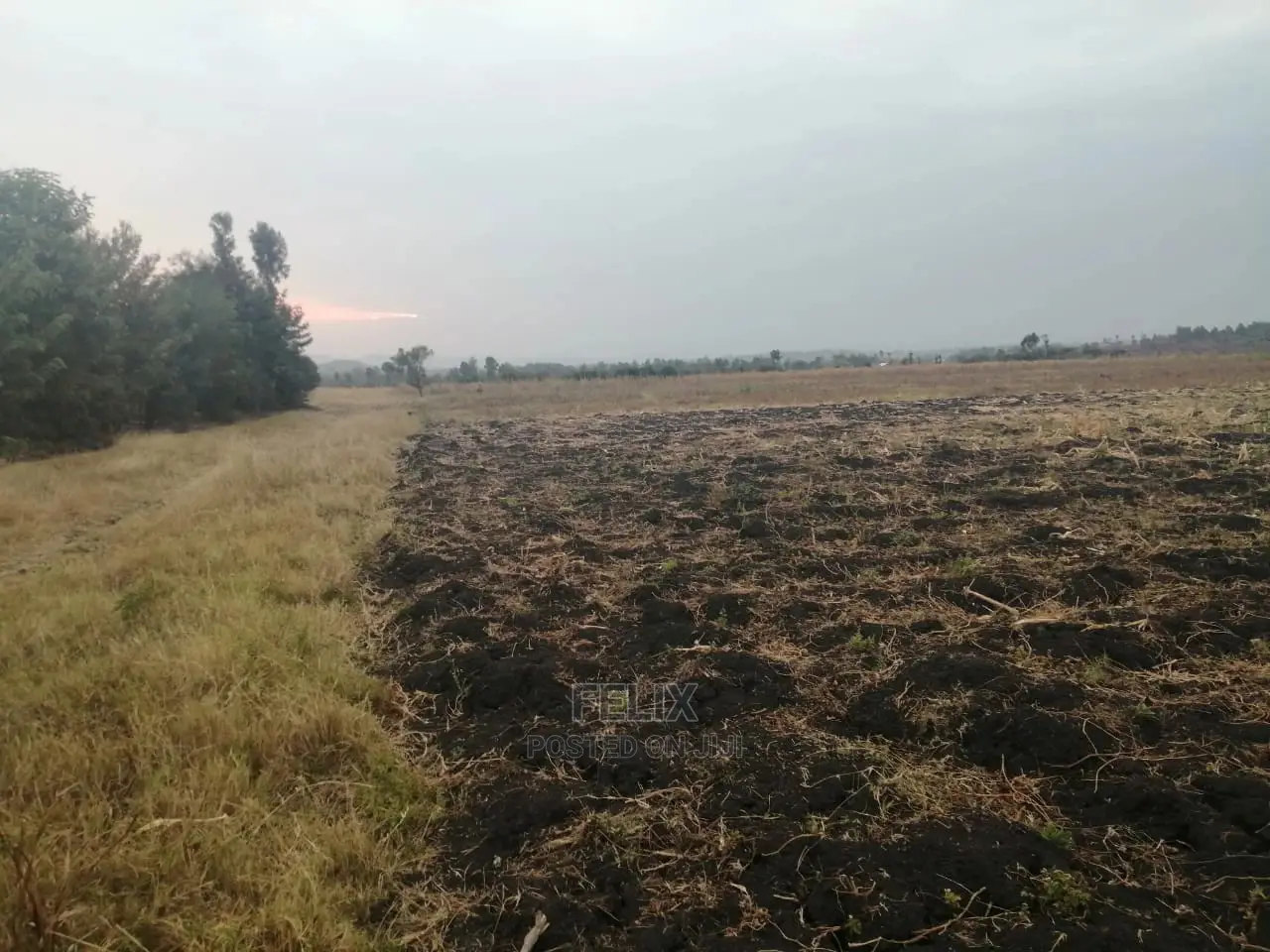 6acres Sagana