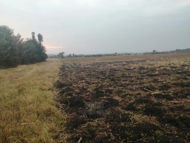 6acres Sagana - thumbnail 3