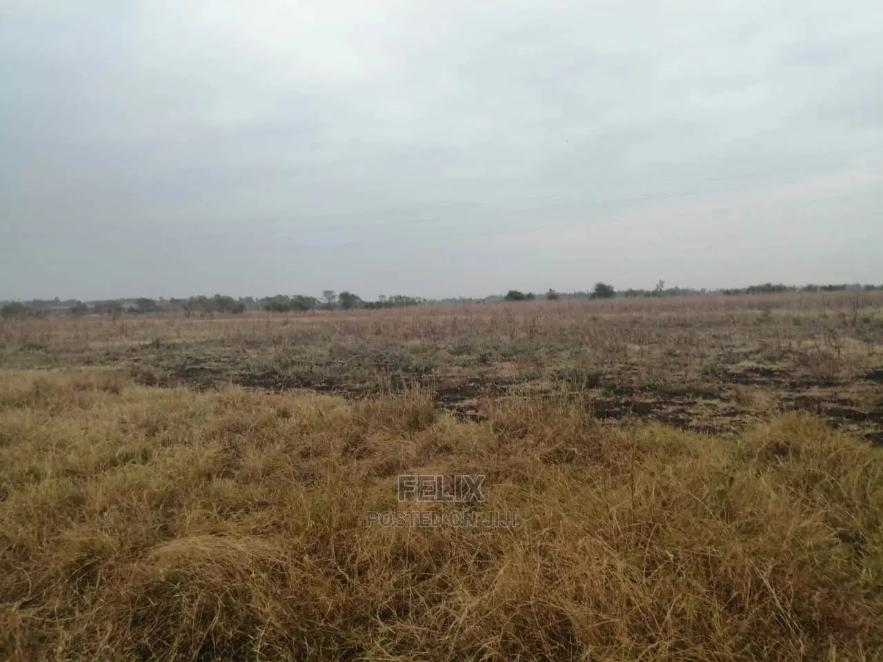 6acres Sagana