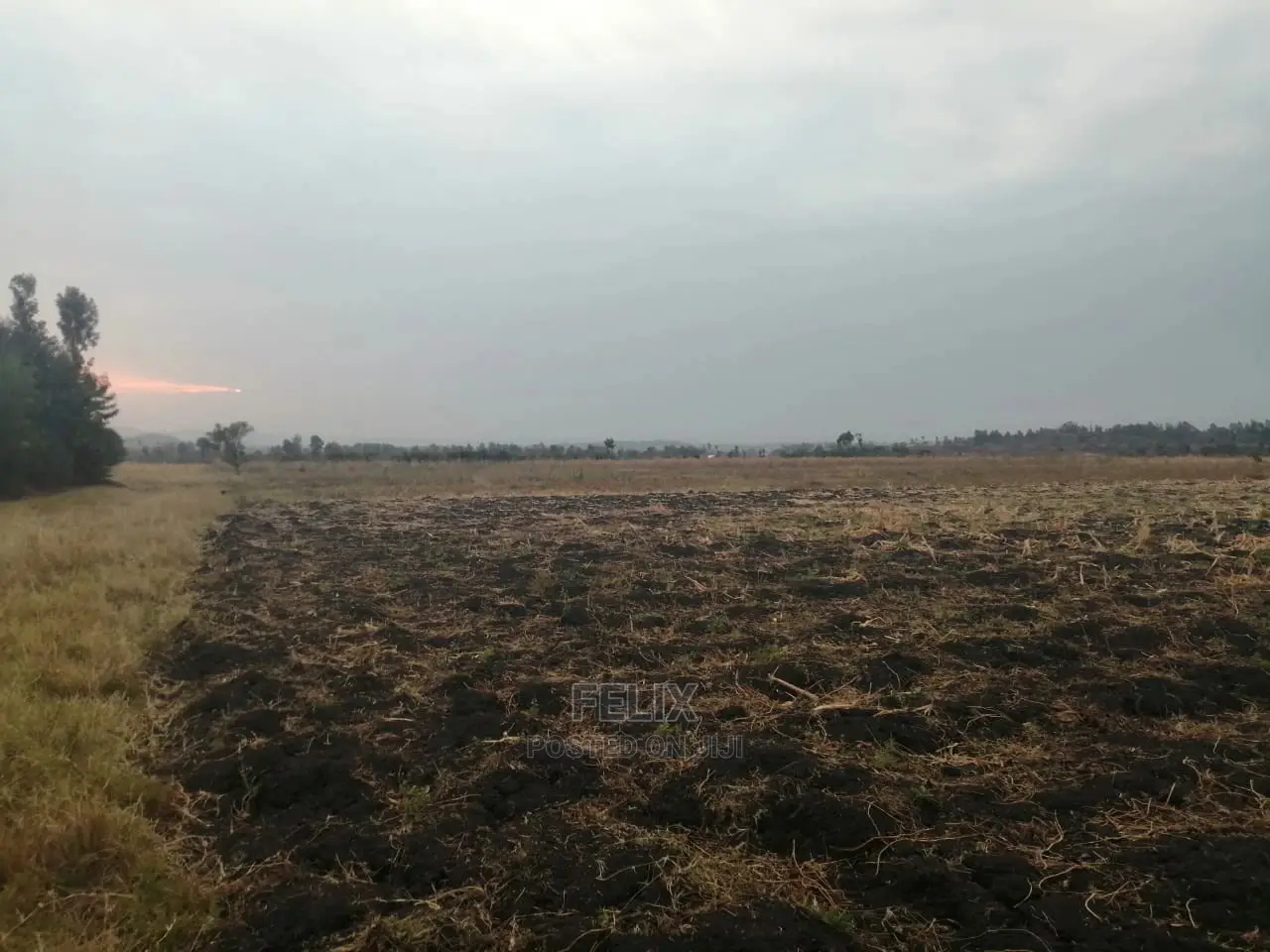 6acres Sagana