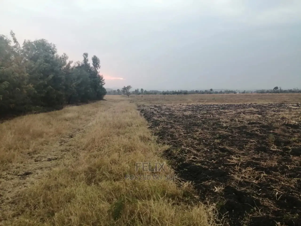 6acres Sagana