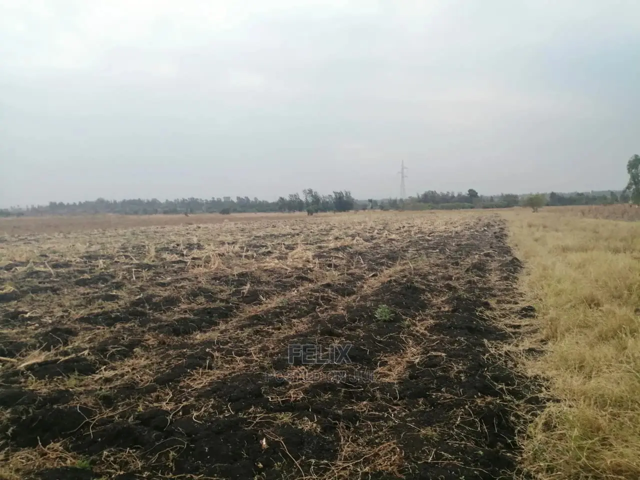 6acres Sagana