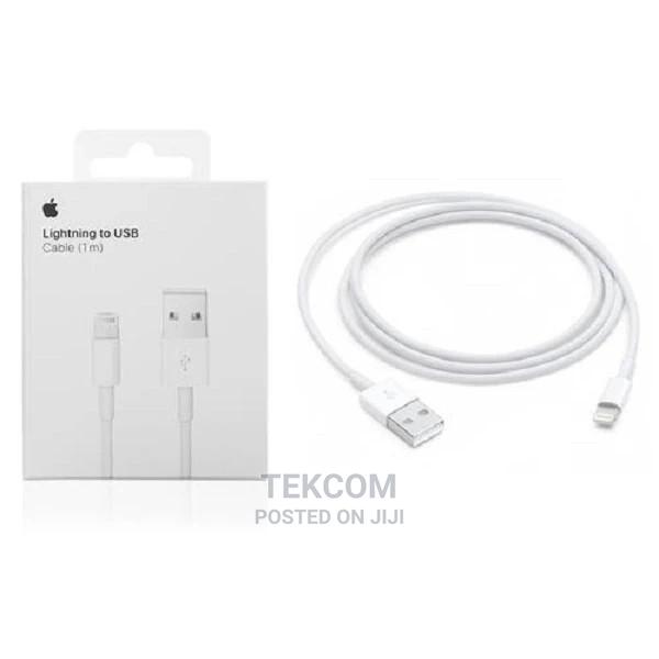 Apple Mxly2zm/A Lightning to USB Cable 1M