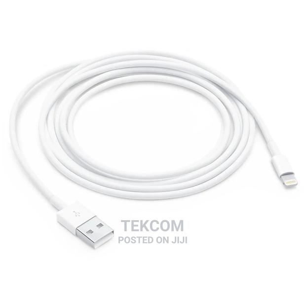 Apple Mxly2zm/A Lightning to USB Cable 1M - thumbnail 2