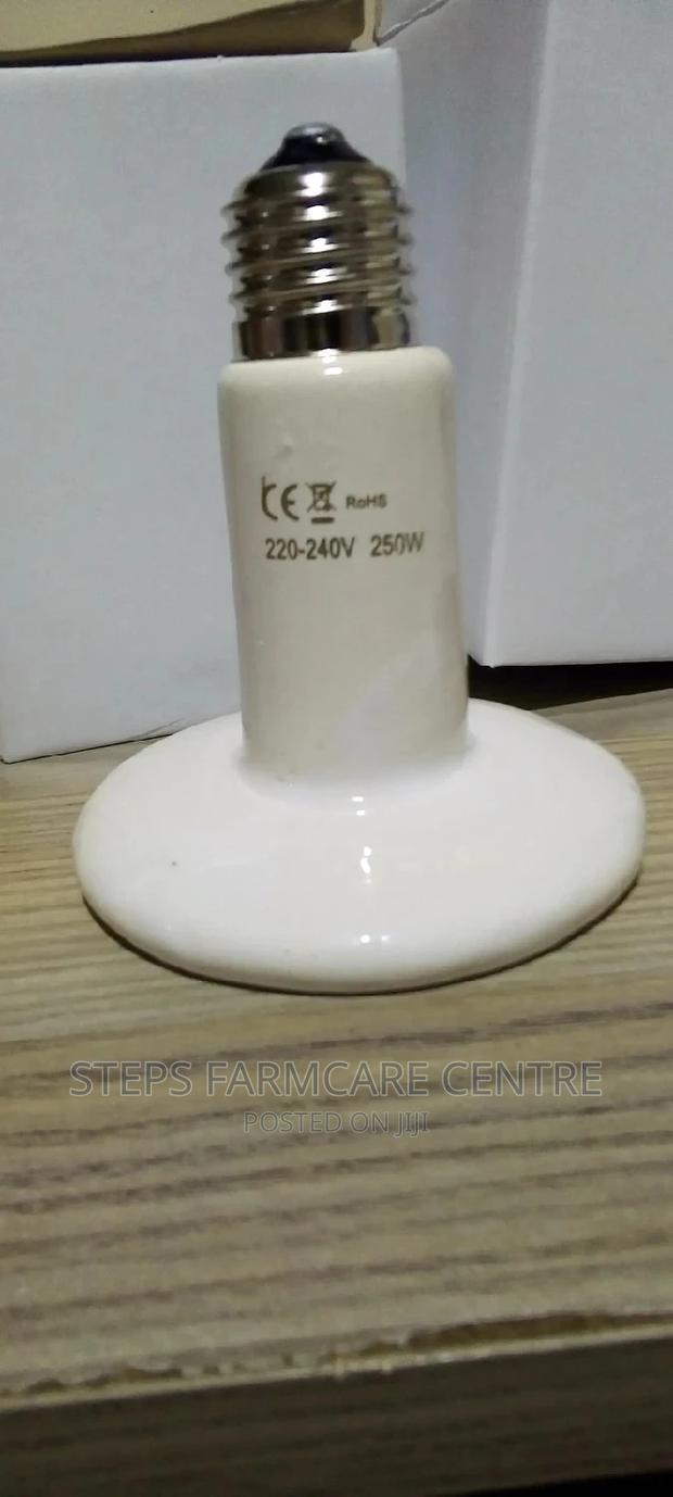 White Colour Ceramic Heater Bulbs