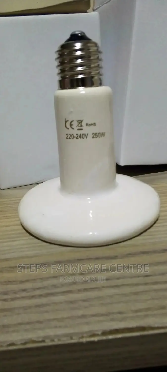 White Colour Ceramic Heater Bulbs