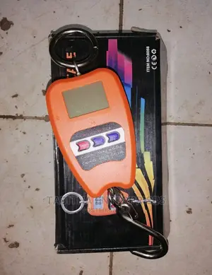200kg Crane Scale