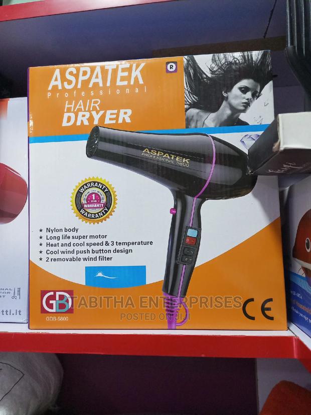 Aspatek Proffessional Hair Dryer - main view