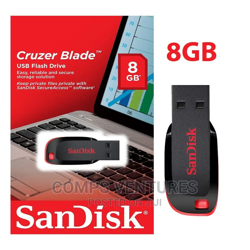 San Disk Flash Drive
