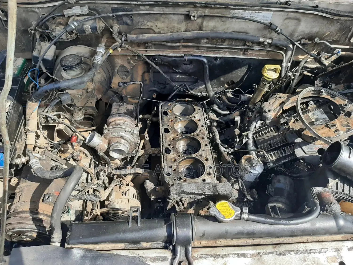 Isuzu Trooper/Bighorn Expert(Technician)