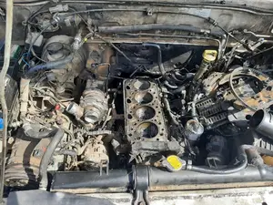 Isuzu Trooper/Bighorn Expert(Technician)