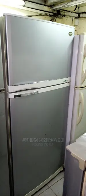 Double Door Fridge Samsung