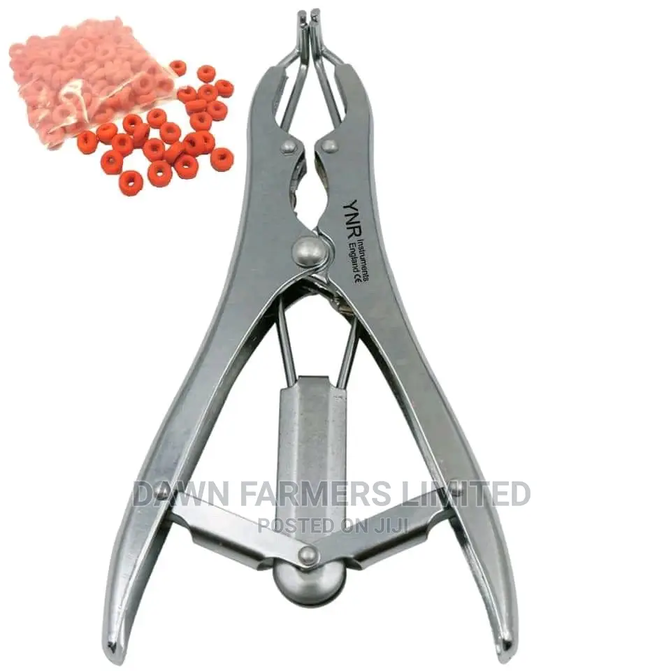 Rubber Ring Elastrator