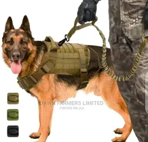 Military Dog Harness
