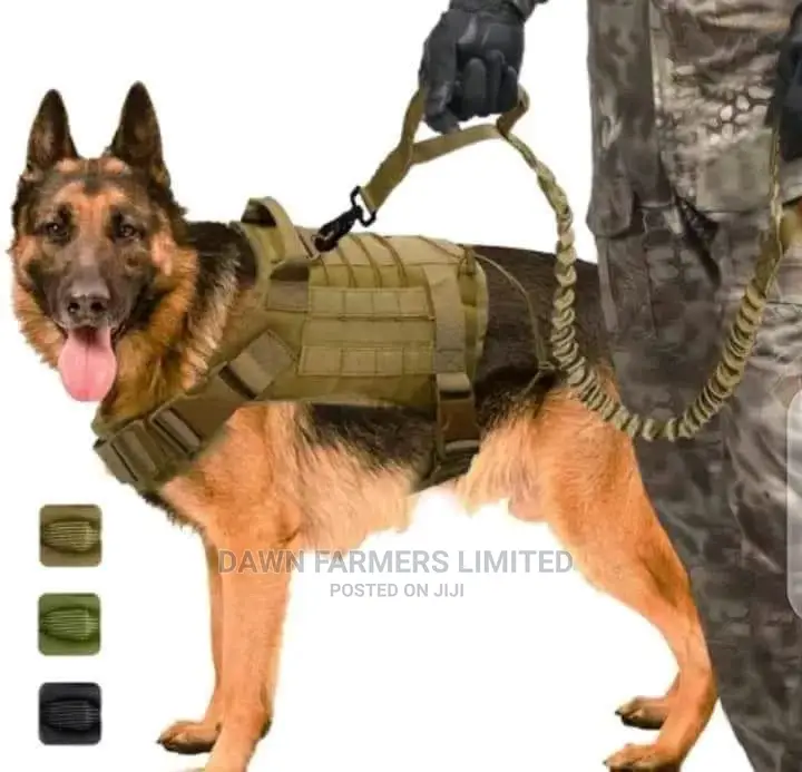 Military Dog Harness