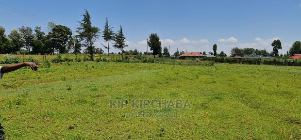 Plots for Sale in Kuinet Eldoret Along Eldoret Ziwa Highway - thumbnail 4