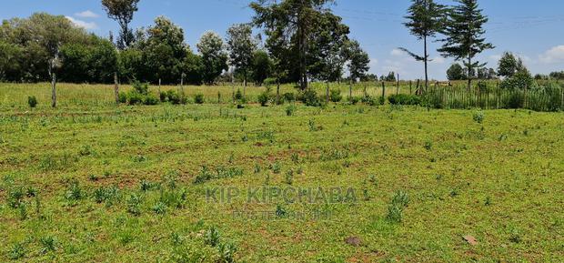 Plots for Sale in Kuinet Eldoret Along Eldoret Ziwa Highway - thumbnail 8