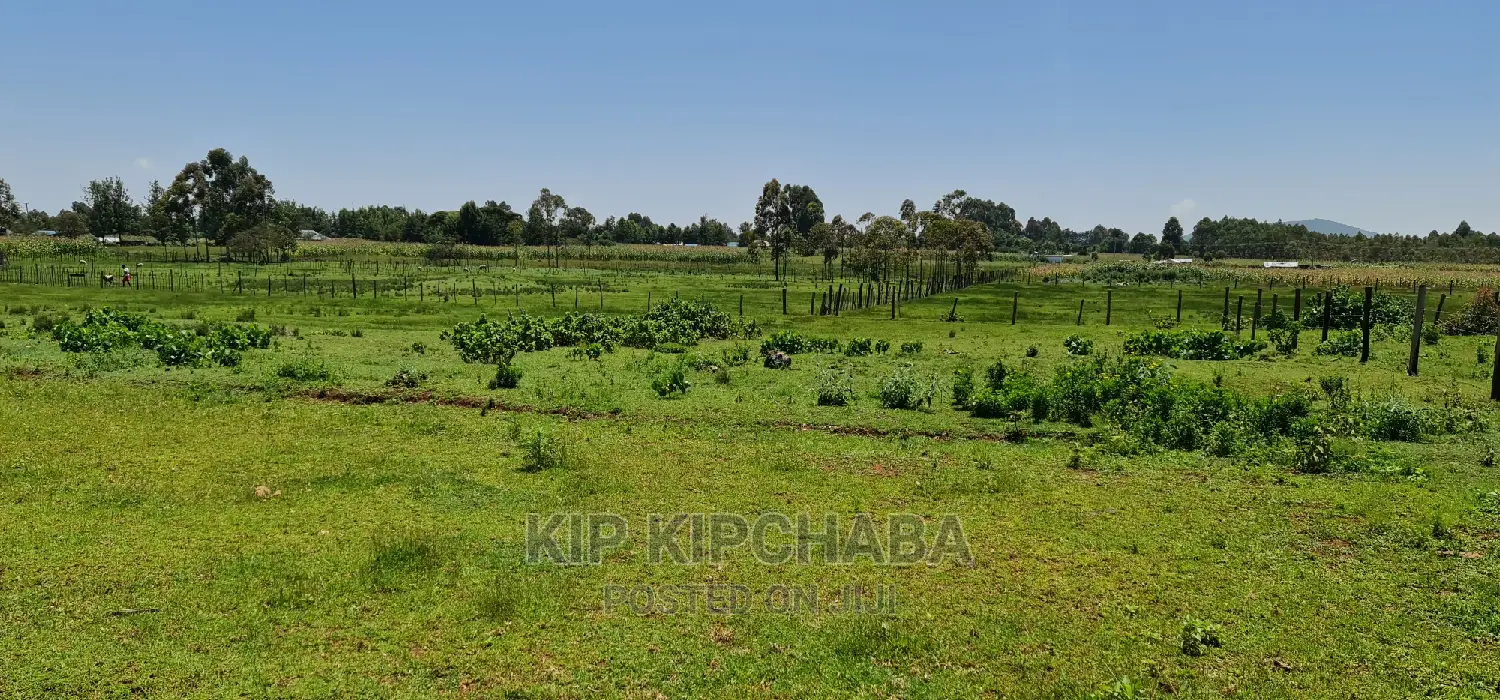 Plots for Sale in Kuinet Eldoret Along Eldoret Ziwa Highway