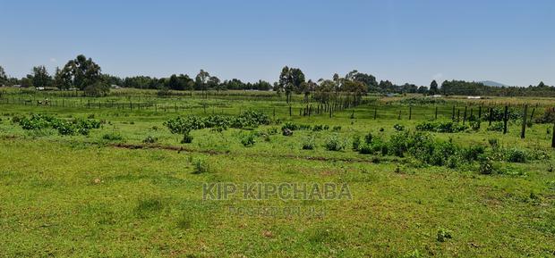 Plots for Sale in Kuinet Eldoret Along Eldoret Ziwa Highway - thumbnail 6