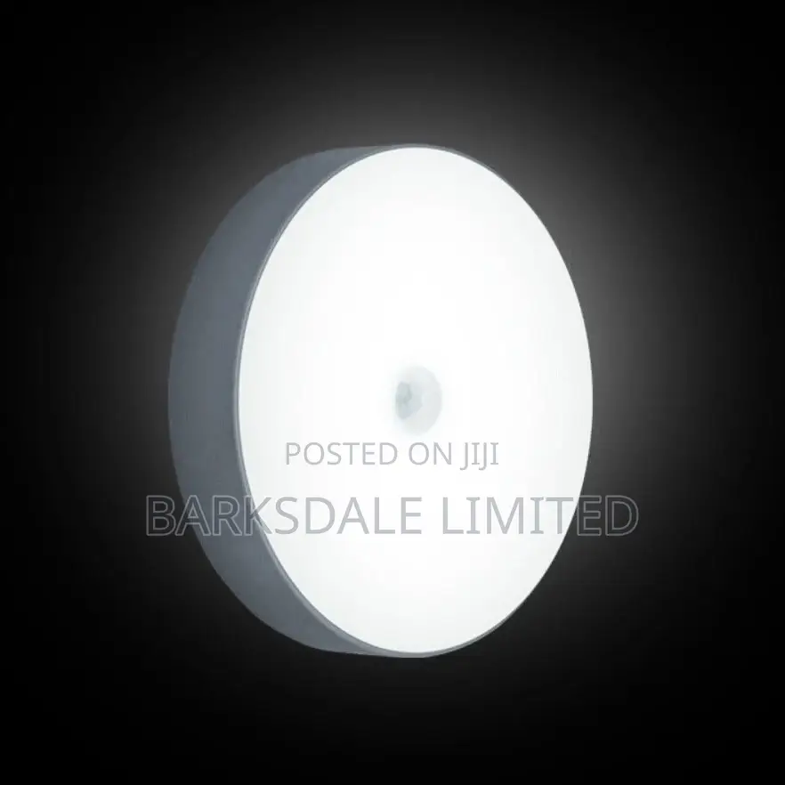 LED Night Light Lamp USB Rechargeable Motion Sensor Intellig