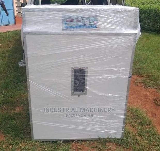 An Automatic 300 Eggs Incubator