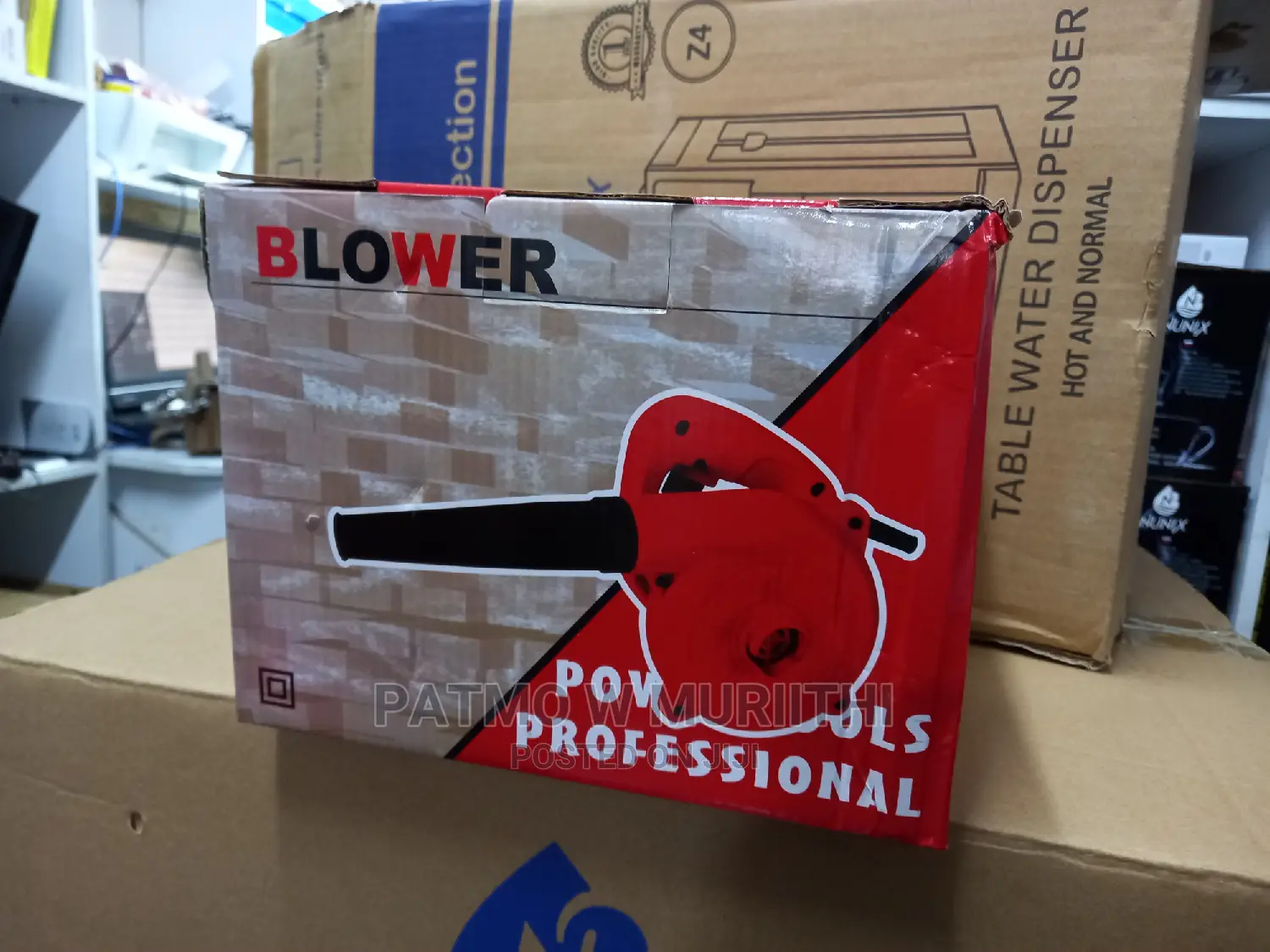 Professional Blower